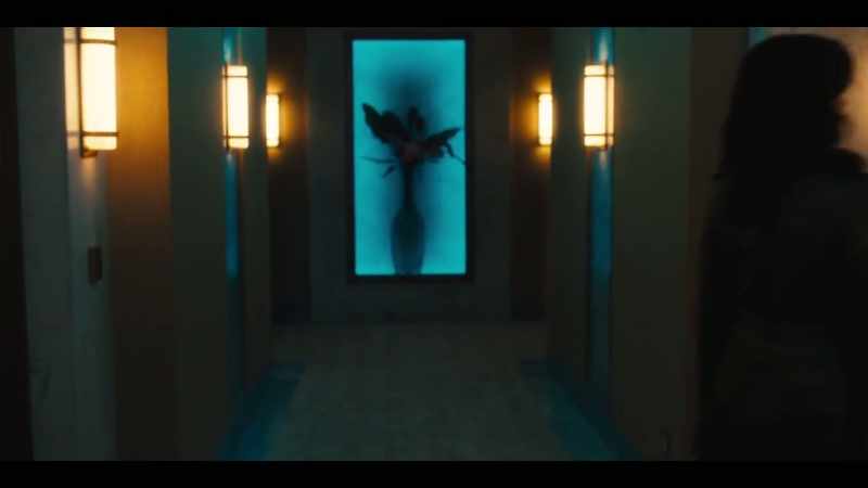 (door opens)