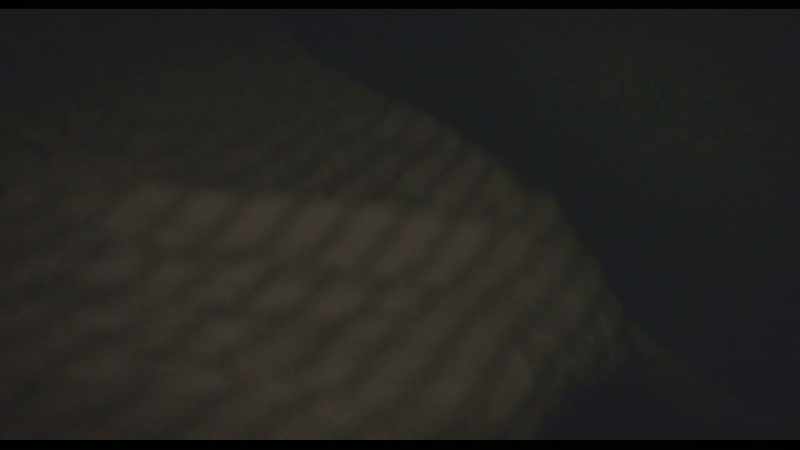 (door thuds)