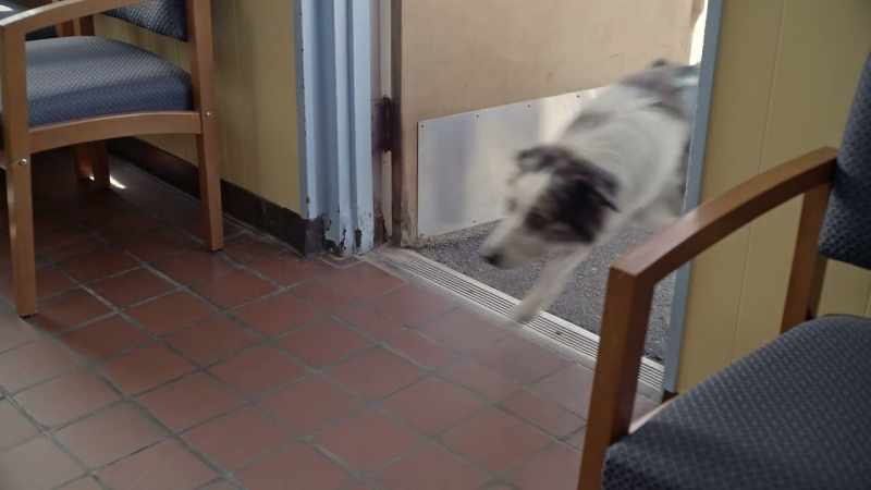 [door thuds]