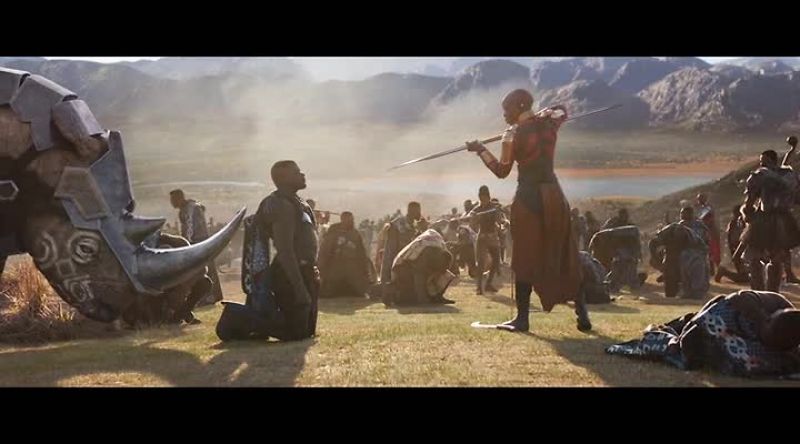 Dora Milaje means 