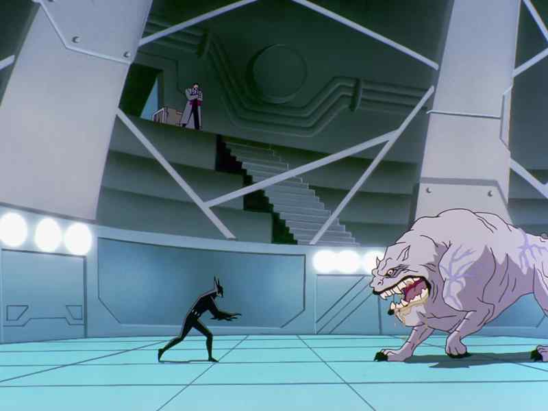 Down, boy, I'm not gonna hurt you