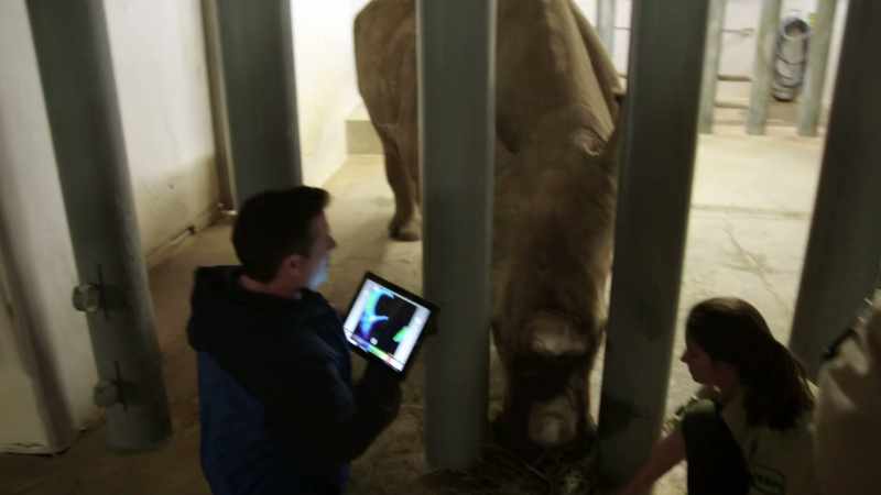 DR. DAN: What I'm doing with Dugan right now is using