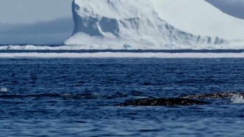 DR. ENRIC SALA: YEAH, THEY ARE WAITING FOR THE ICE