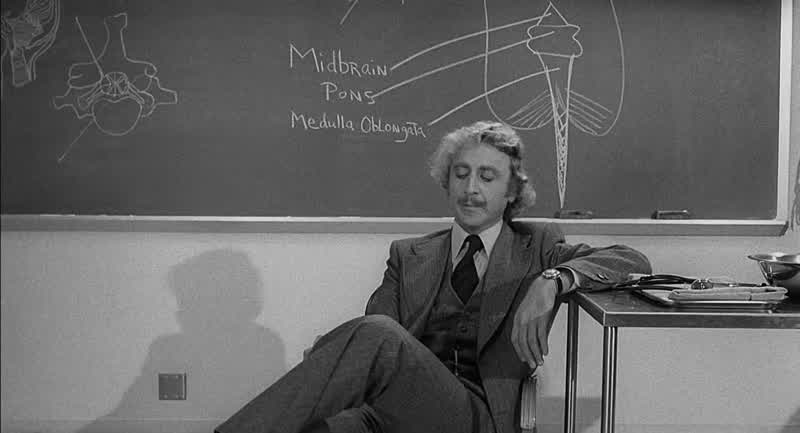 Dr. Frankenstein. That's Fronkensteen. My name is Gerhardt Falkstein. I've traveled 5,000 miles To b