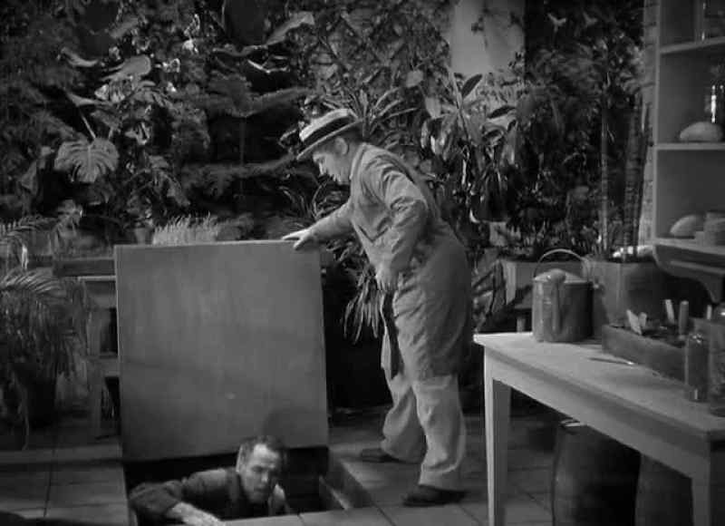 Dr. Glendon! - Quiet. Help me up