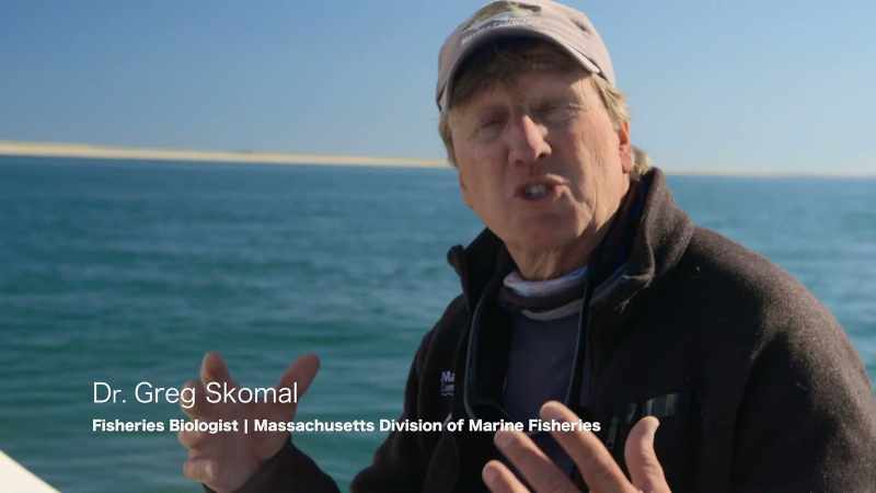 DR. GREG SKOMAL VISSERIJBIOLOOG