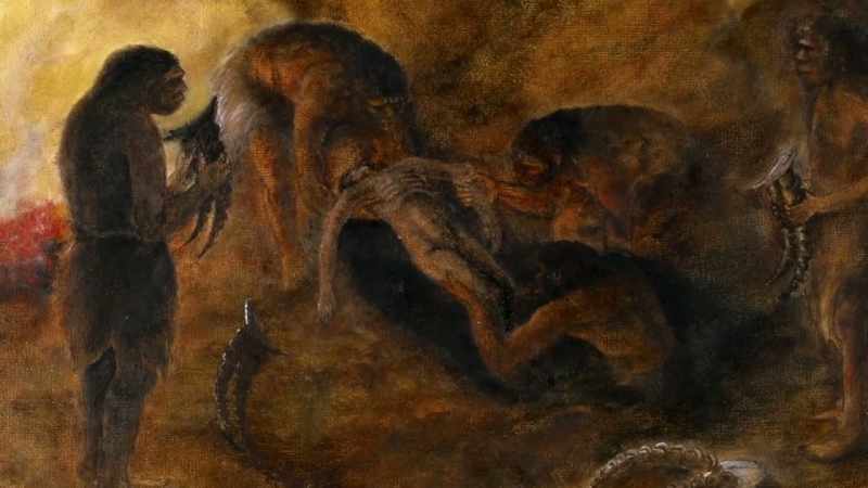 [Dr. Houlton] Who knows? This could be a very ancient being