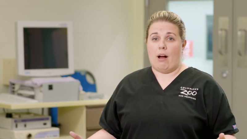 Dr. Katie: Even though spoons looks great