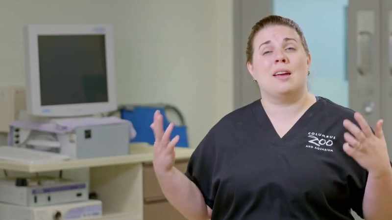 Dr. Katie: Looking at the x-rays