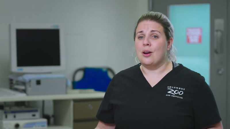 Dr. Katie: So, this means that we need to go to surgery