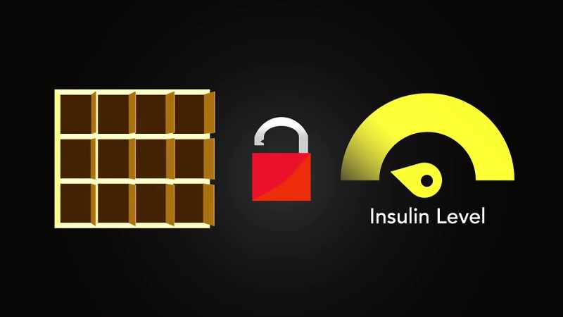 [Dr. Mark] That's right, insulin is a fat storage hormone