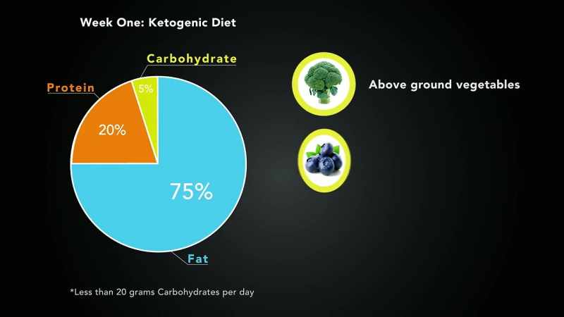 [Dr. Mark] The first week, we put them on a low-carb