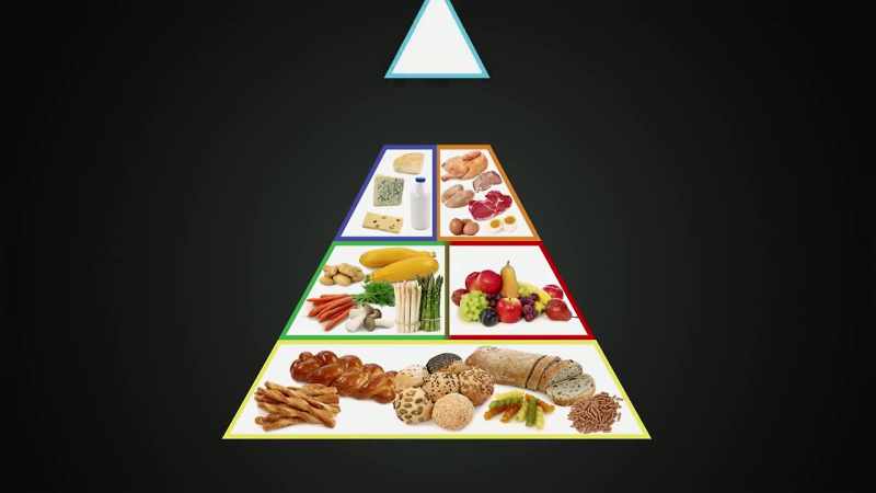 [Dr. Mark] The food pyramid codified our fat phobia