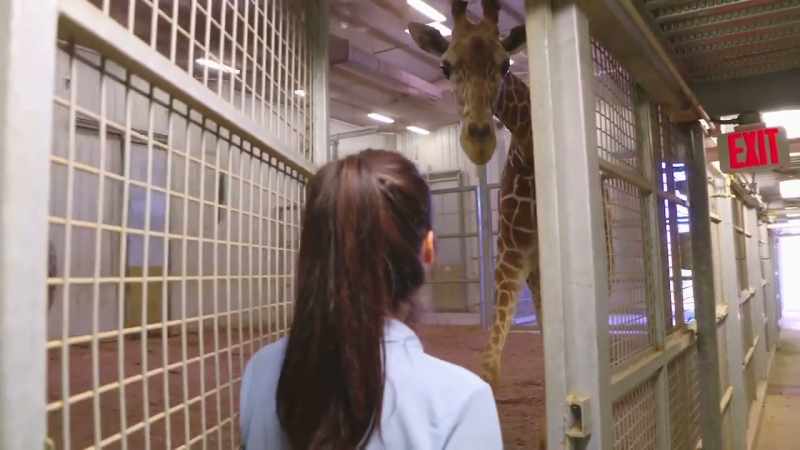 Dr. Priya: Before he came to us