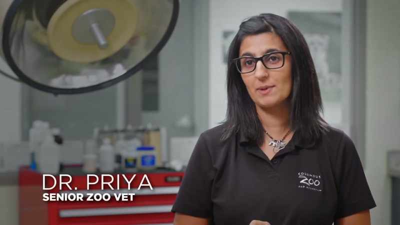 Dr. Priya: It's been about a week since we last evaluated