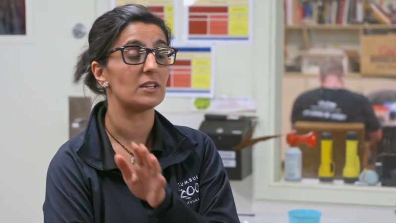Dr. Priya: Let her go, just having a week, no handling