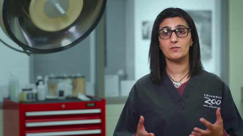 Dr. Priya: So, now that we're done with paval