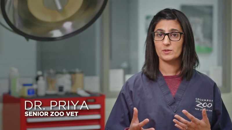 Dr. Priya: Today, I really want to focus
