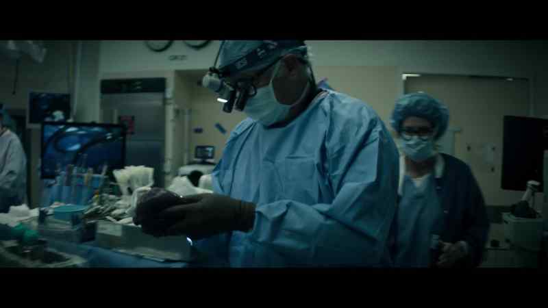 Dr. Roberts takes the liver out…