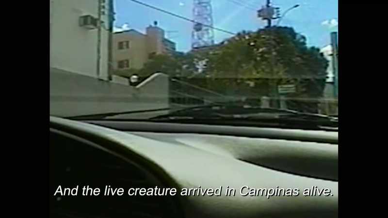 DR. ROGER LEIR: Both creatures left at the same time