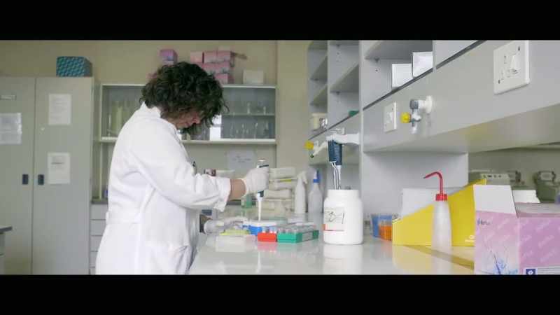 [Dr. Sara Andreotti] The Shark Safe Barrier is a new technology