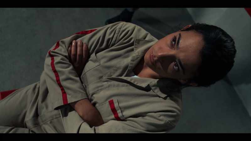 [Dr. Stevenson scoffs]