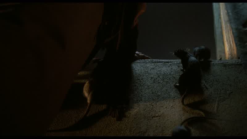 We have learned something muchDracula fears us He fears timeFor if not why does he hurry so