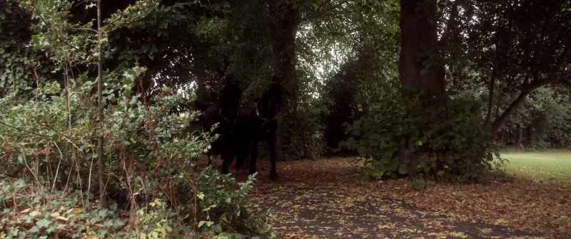 (dramatic music continues) (hooves clomping)