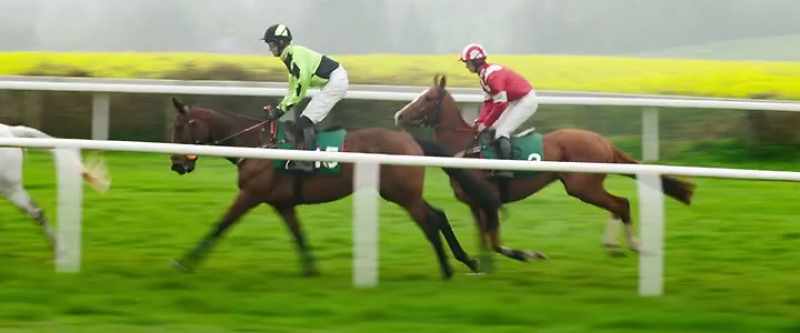 Dream Alliance battling his way past Operation Houdini
