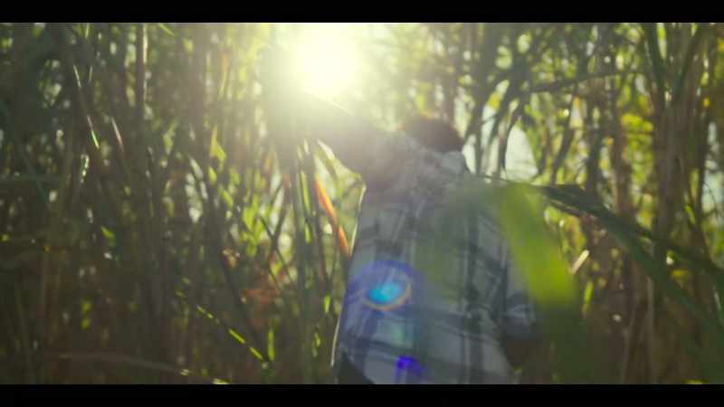 (dreamlike music)