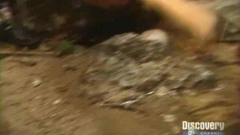 Drinking water is one thing positive this stream