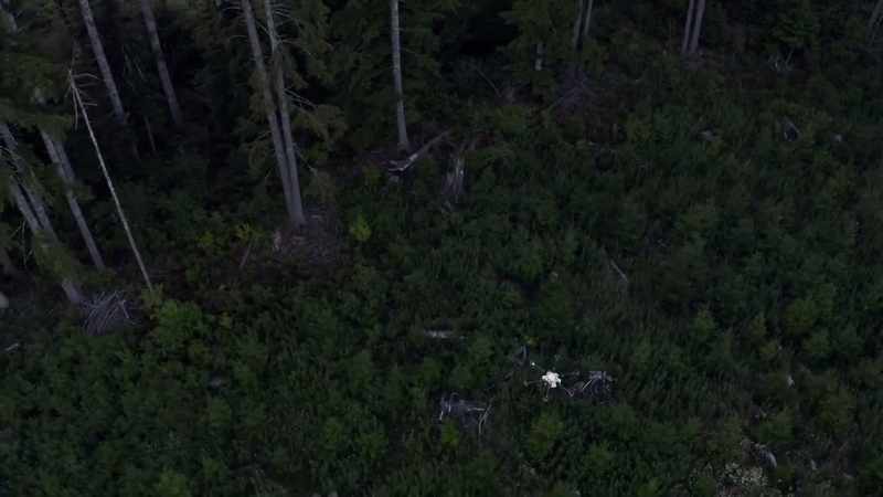 [drone buzzing]