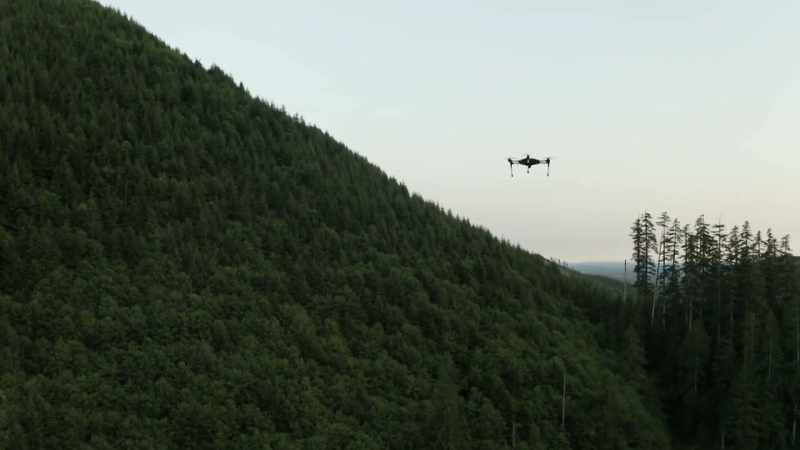 [drone buzzing]