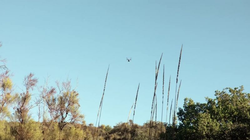 Drone!