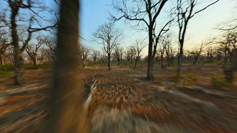 Dry seasons here are getting drier and longer every year