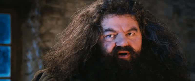 Dry up Dursley you great prune