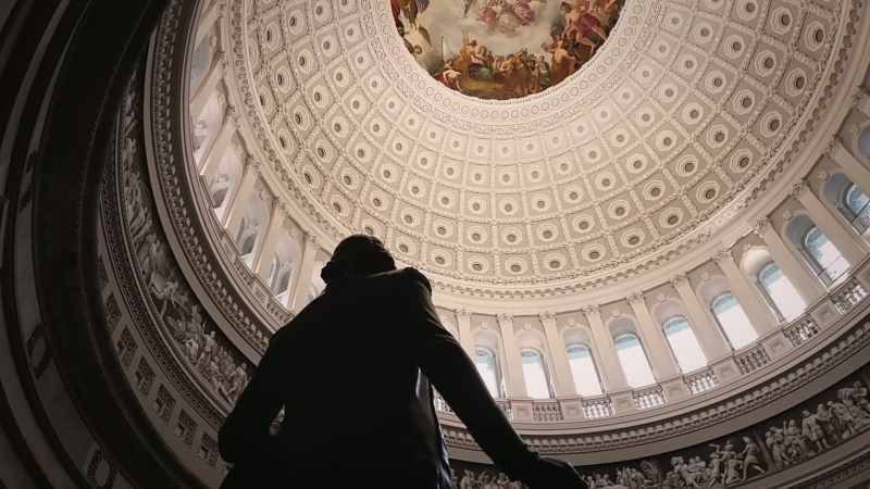 D'SOUZA: We've seen gun control