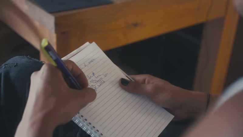 Dua Lipa started working on music