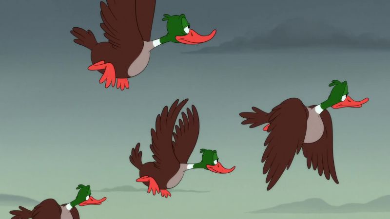 [ducks quacking]