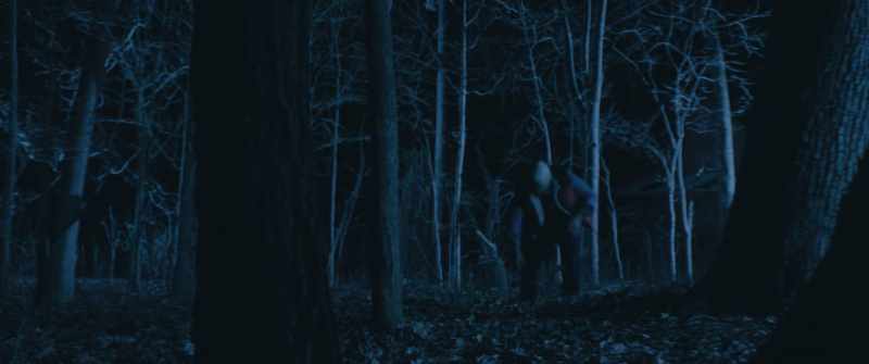 Dude, dude, there's a killer in the forest!