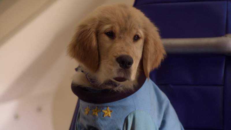 Dudes what is this place