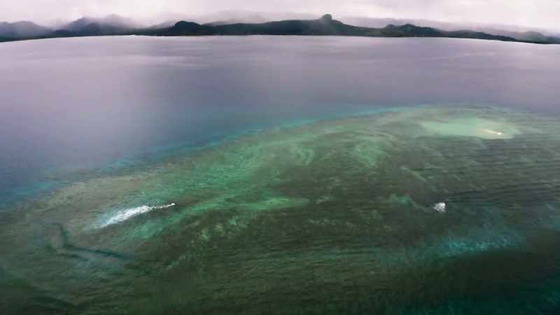 Due to overfishing, you had a completely dead reef, no fish on it, nothing