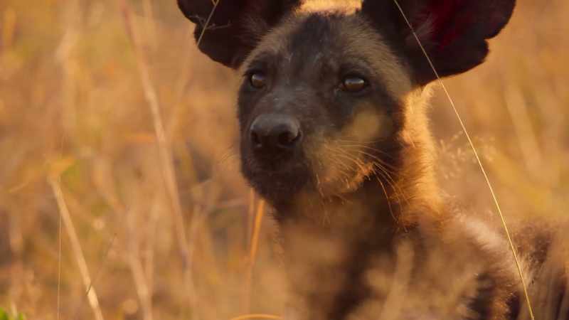 Duma is learning just how important it is to be part of a team