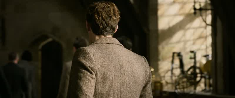 DUMBLEDORE: Theseus