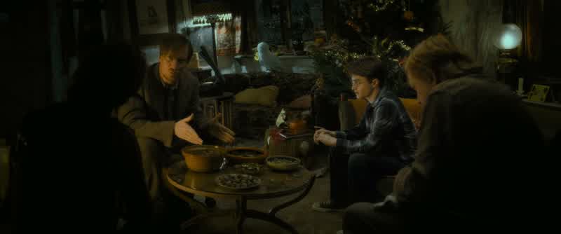 Dumbledore trusts Snape, therefore I do.- Dumbledore can make mistakes