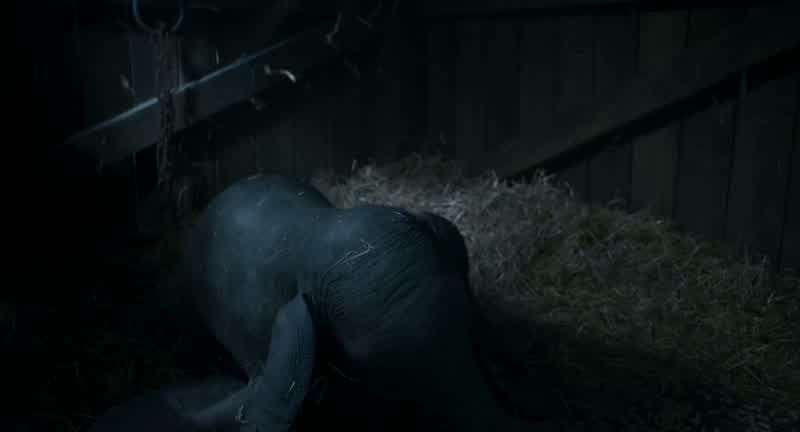 Dumbo, you gotta do this in the show