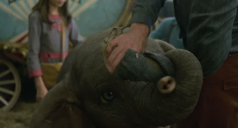 Dumbo, you mind?
