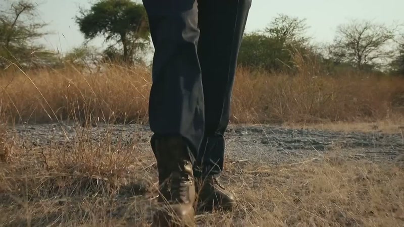 During the dry season