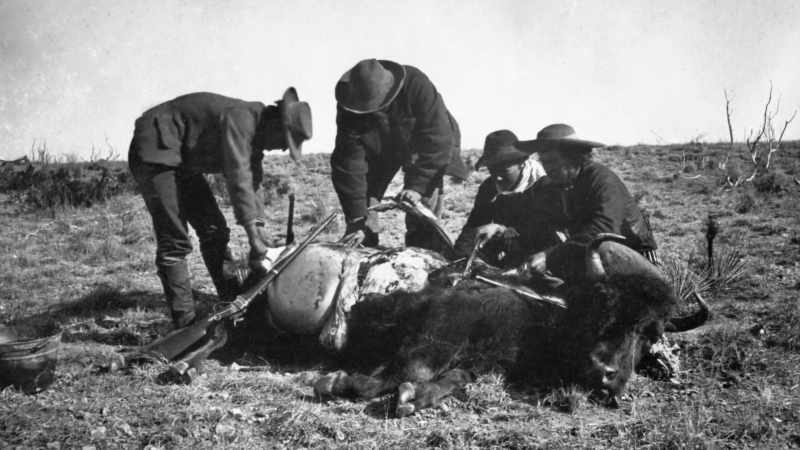 During the hide-hunting