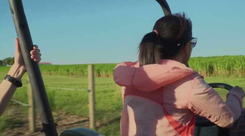 During Yingying's short stay in the U.S
